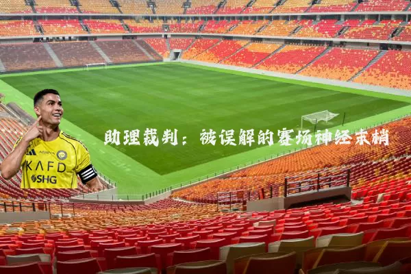 助理裁判:被误解的赛场神经末梢