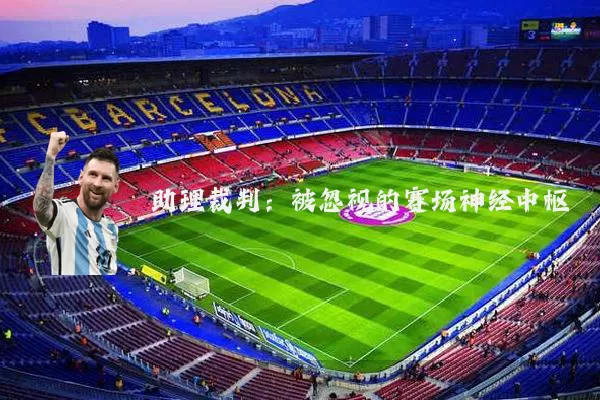助理裁判：被忽视的赛场神经中枢
