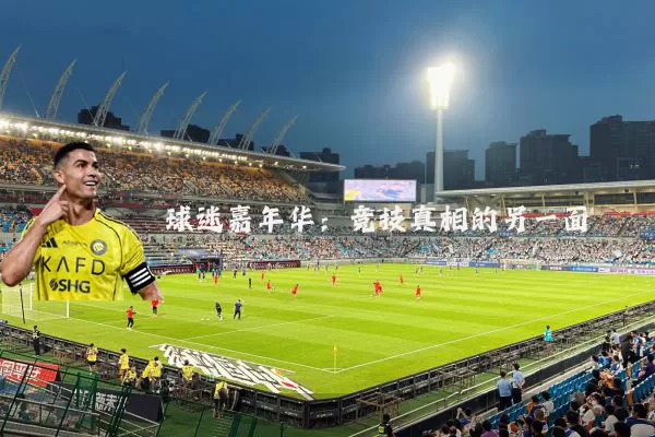 球迷嘉年华:竞技真相的另一面